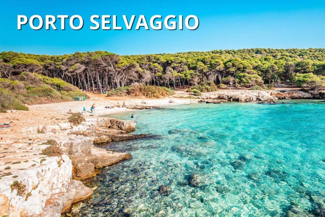 Delfino - Ampio Appartamento A 40 Metri Dalla Spiaggia Lido Conchiglia Dış mekan fotoğraf
