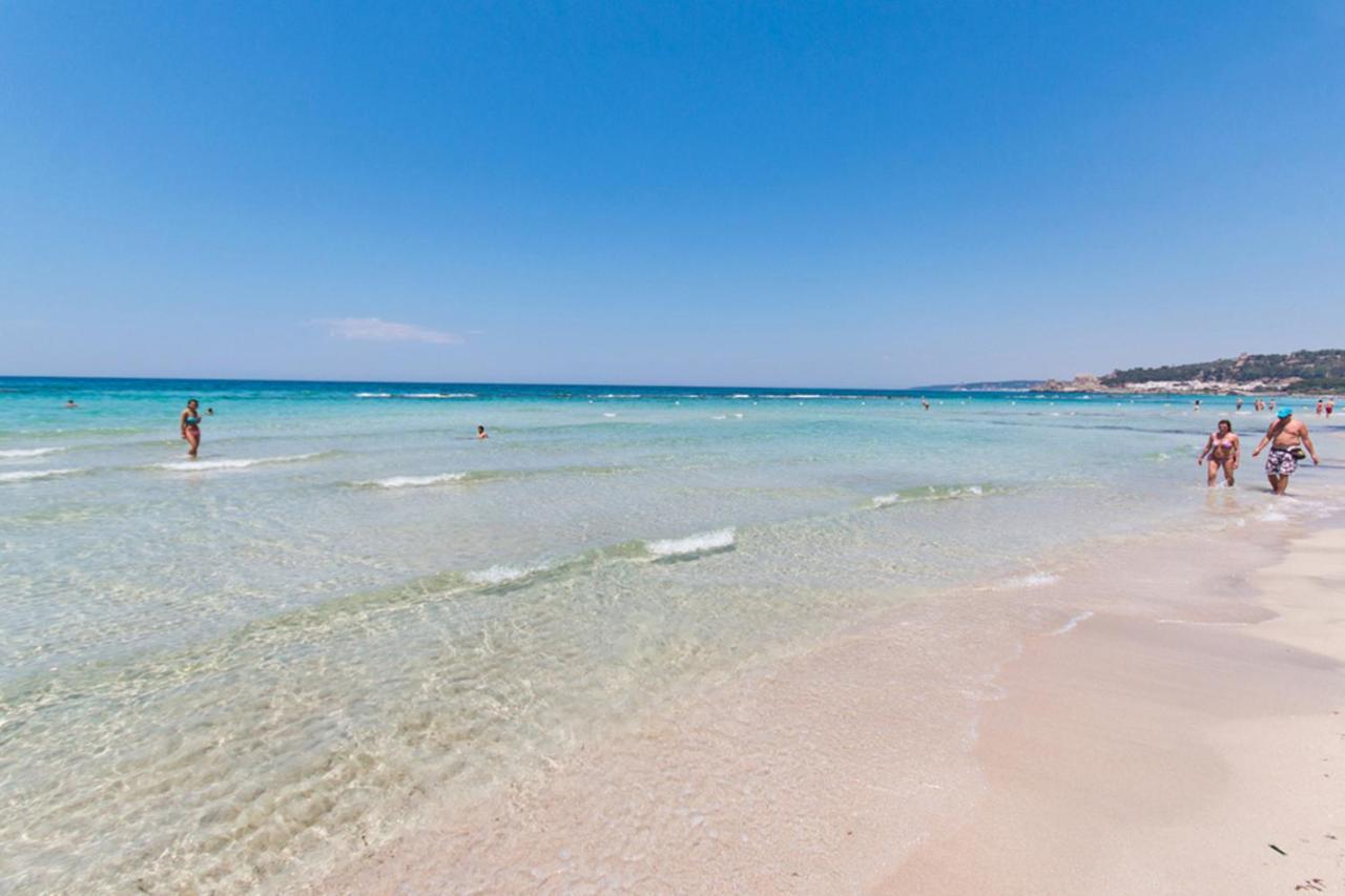 Delfino - Ampio Appartamento A 40 Metri Dalla Spiaggia Lido Conchiglia Dış mekan fotoğraf