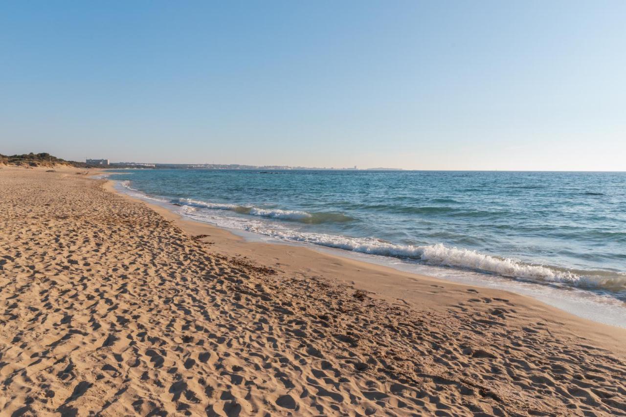 Delfino - Ampio Appartamento A 40 Metri Dalla Spiaggia Lido Conchiglia Dış mekan fotoğraf